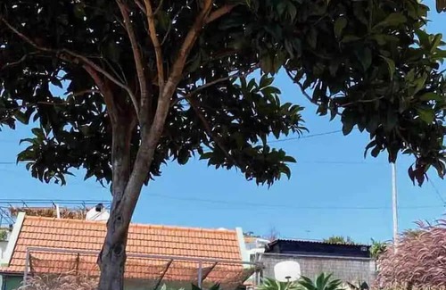 Tabua Cabaña | THE L Lodge Elegant Country Cottage With Garden