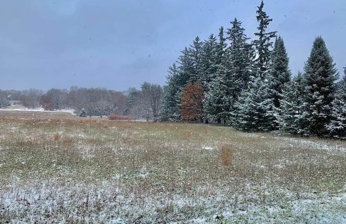 Wautoma Otro | Quaint 150 yr old farmhouse on 5 acres. Close to Nordic Mountain Ski Resort.