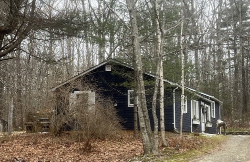 Belfast Casa | Cozy retreat in the Woods! 10 minutes to Belfast. 1 hour to Acadia. Pets OK.