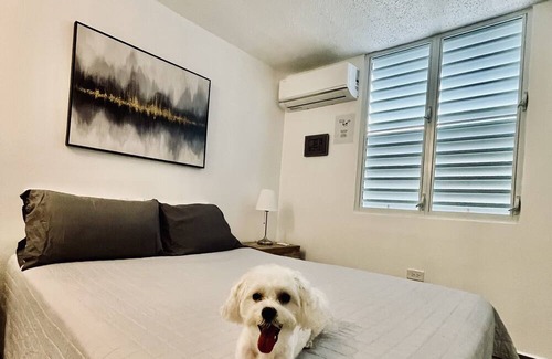 Ceiba Casa | Ceiba, PR.
