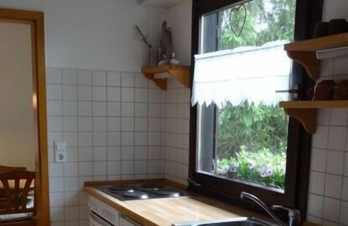 Ludwigswinkel Apartamento | At the Sägmühlweiher