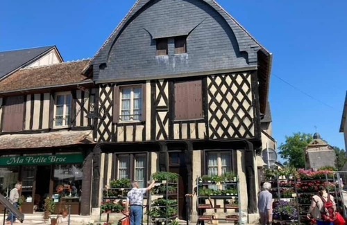 Aubigny-sur-Nere Apartamento | Villa Capucine