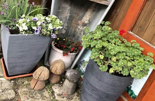 Rathmannsdorf Apartamento | Holidays in the circumcourse and