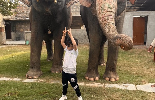 Pink City Casa | Room 1 - You can spend time with elephants by going close them