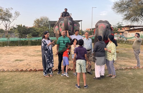 Pink City Casa | Room 1 - You can spend time with elephants by going close them