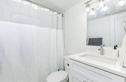 Tampa Apartamento | Tampa Bay Bliss: 1 BR + Washer | Dryer & Wi-Fi 8 |