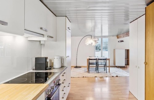 Dietikon District Apartamento | Cozy Studio Charm Sum
