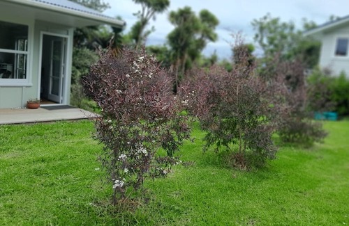 Raglan Casa | My Little Place in Raglan by the Beach!