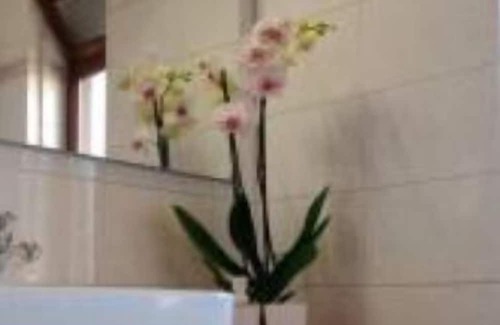 Regio Parco Apartamento | Spacious 3Rm apartment for 4/6 people