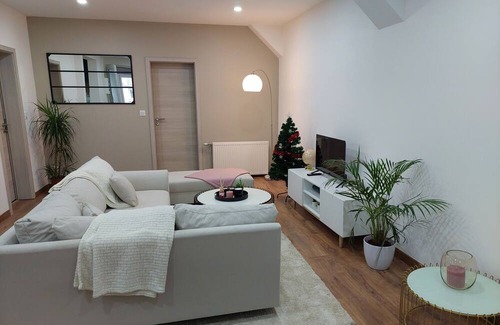 Colmar Centre Ville Apartamento | Le Bag appartement familial