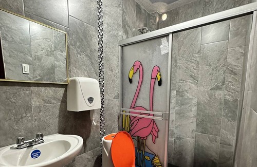 Chimborazo Province Hotel | Hotel Caracas Suite