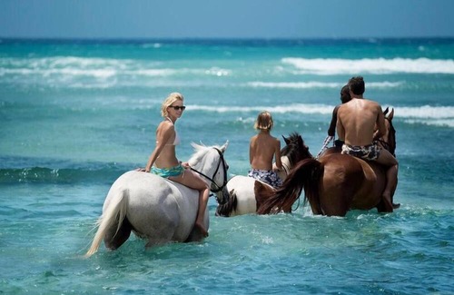 Montego Bay Complejo | Luxury Retreat w/ Free WiFi, On Site Restaurant, Pool Access & Cocktail Lounge