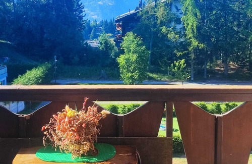 Montana Apartamento | Cozy Studio in Crans-Montana, 300mt from the SKI-Area- Pet-Friendly!