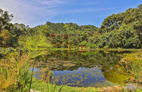 Valle de Bravo Casa | Private Lake Cabin on 20-acre Ranch with Amazing Views, Patio w/BBQ & Tables