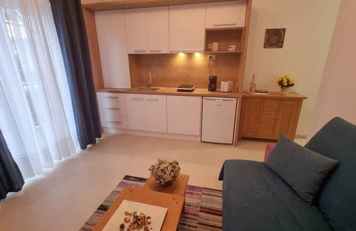 Tractorul Apartamento | Bella Vista Studio w/ courtyard view, terrace