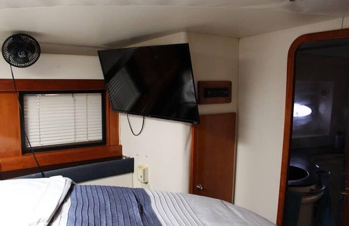 Marina del Rey Alquiler De Eote | Have Nautical Dreams Aboard a Yacht in Marina del Rey