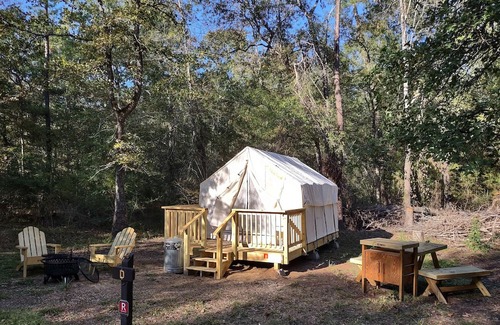 West Livingston Alquiler De RV | Tentrr State Park Site - TX Lake Livingston State Park - Site D - Single Camp