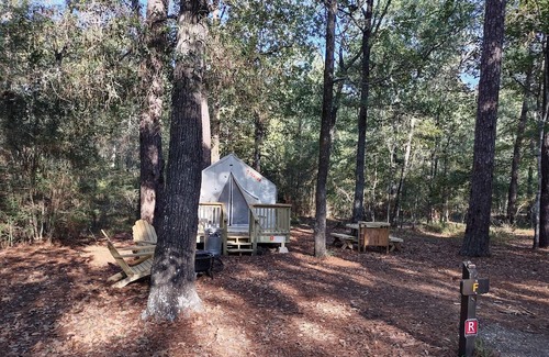 West Livingston Alquiler De RV | Tentrr State Park Site - Texas Lake Livingston State Park - Site B - Single Camp
