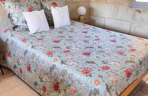 Chinon Apartamento | La Tour de L'horloge, Appartement Typique de la Ville, vue sur le Château