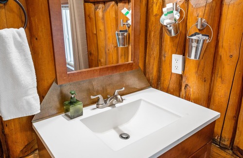 West Yellowstone Cabina | Bucking Moose Bison Cabin (#11)