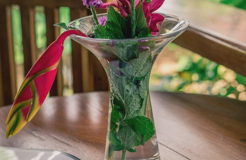 Bocas del Toro Hotel | The Hummingbird