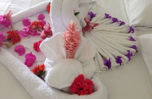 Montego Bay Hotel | Palm View Guesthouse and Conference Centre