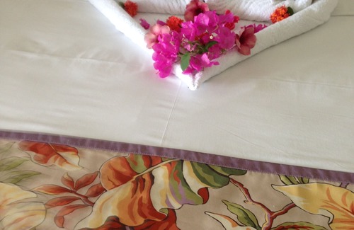 Montego Bay Hotel | Palm View Guesthouse and Conference Centre