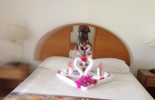 Montego Bay Hotel | Palm View Guesthouse and Conference Centre