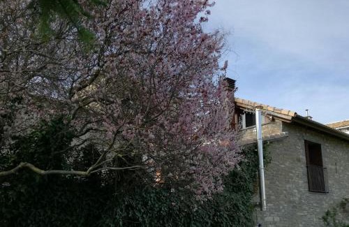 Jaca Casa | O Zierzo