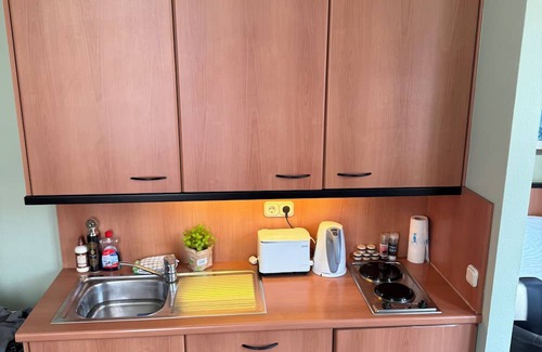 Altstadt Apartamento | Central View Cozy Apartment Frankfurt neorenaissance