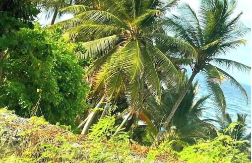Newcastle Alquiler De RV | Camping Barbados - Group Dome Tents Private Camp