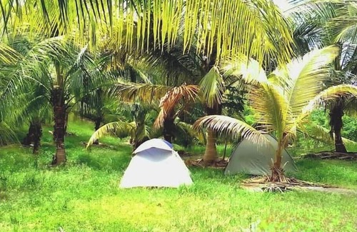 Newcastle Alquiler De RV | Camping Barbados - Activity Stay