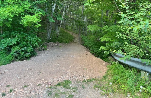 Pleasant Bay Cabina | Ananda Cabin- Enchanted Forest Hideaway