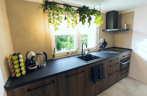 Hajduszoboszlo Casa | Luxury vacation home with hot tub and garden. Rural location - Pet friendly!
