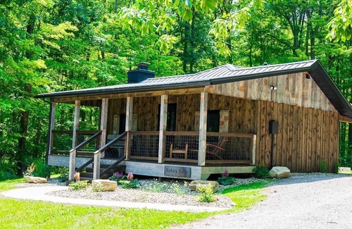 Madison Cabina | Cozy Rustic Cabin w/Hot Tub & Scenic Trails in Ohio’s Wine Country