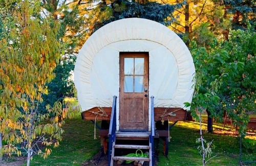 Moreland Cabina | Conestoga Wagon Retreat