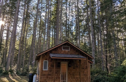 Langley Cabina | Pine Guest Cabin in the Woods