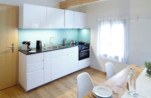 Brienzwiler Apartamento | Chalet loft "Rothorn" in Brienzwiler - surrounded by mountains, forest and water