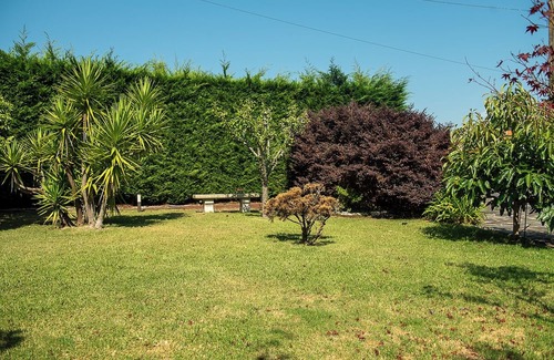 Poio Casa | House with garden and terrace to enjoy with your pet - Pet Friendly