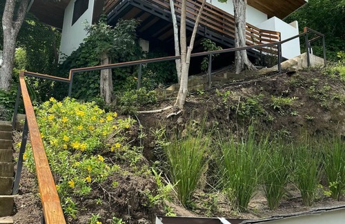 Paquera Apartamento | Stairway to heaven where the jungle meets the sky! Bioluminescence, Isla Tortuga