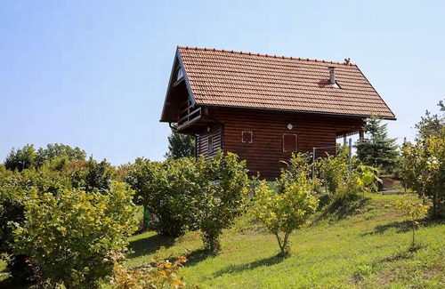 Ozalj Casa | Amazing home in Zorkovac with sauna