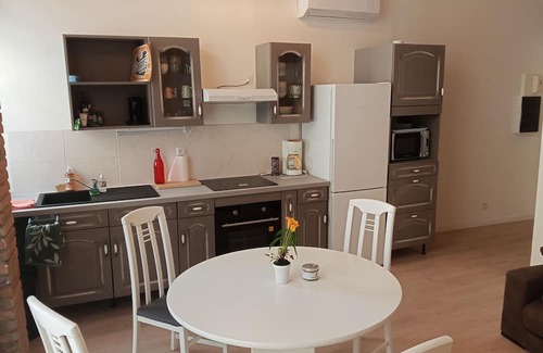 Graulhet Apartamento | Atypical air-conditioned apartment, 4 to 6 p. Tarn, Albi,Gaillac,Cordes