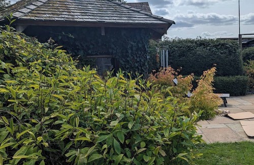 Cranbrook Casa | Artist's Hawkhurst Home with Pool and Sauna
