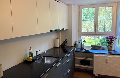 Glarus Sued Apartamento | Schweizerhaus Glarus - Historic with charm, ideal for groups and families