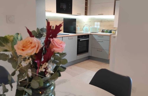 Montmerle-sur-Saone Apartamento | Appt T3 65m2, sleeps 6, Montmerle Centre, Bord de Saône