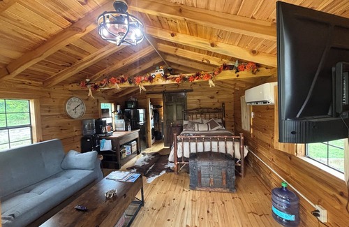 Kerr Apartamento | Charming one-room cabin retreat with private bath, kitchenette and log gazebo.