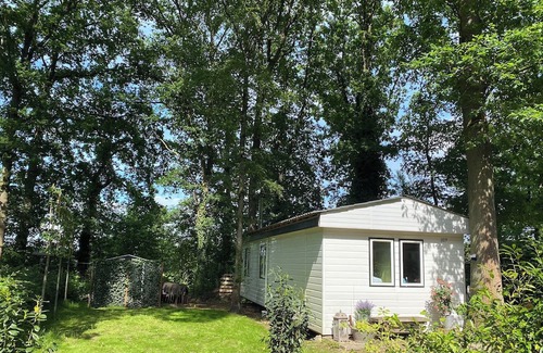 Dieren Chalet De Esquí | Forest cottage on the Veluwezoom