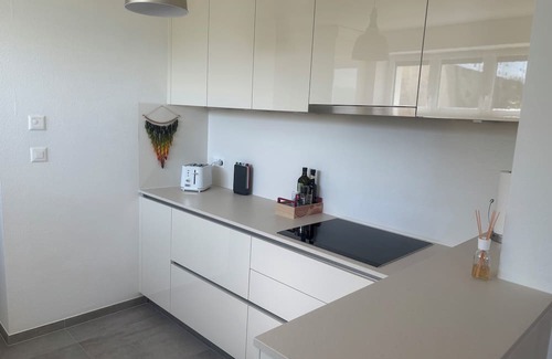 Cully Apartamento | Superb apartment in Cully with lake view.