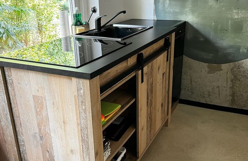 Laussnitz Apartamento | Carotel Industrial Style meets Waldesruhe with a dog