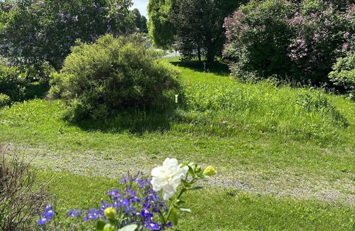 Kemi Apartamento | Interesting Kemi Apartment with Sauna department & Free Parking